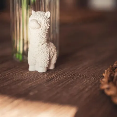 Apartmán Sternenzelt Alpakas - & Tiere Hautnah Erleben Borken (North Rhine-Westphalia)