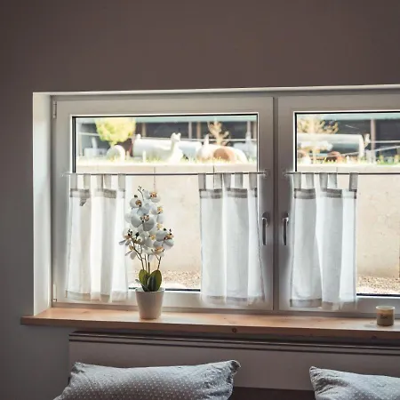 Sternenzelt Alpakas - & Tiere Hautnah Erleben * Borken (North Rhine-Westphalia)