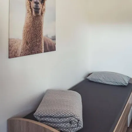 Sternenzelt Alpakas - & Tiere Hautnah Erleben