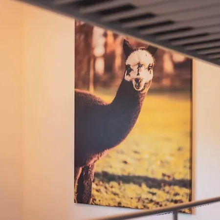 Sternenzelt Alpakas - & Tiere Hautnah Erleben דירה *