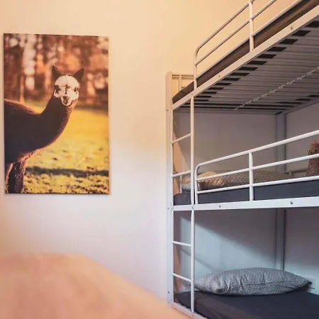 Sternenzelt Alpakas - & Tiere Hautnah Erleben * Borken (North Rhine-Westphalia)