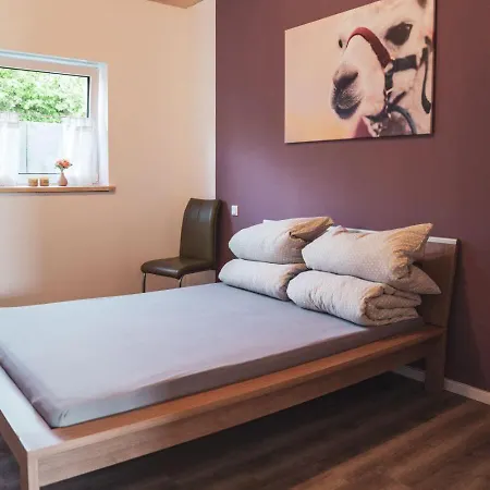 Sternenzelt Alpakas - & Tiere Hautnah Erleben *