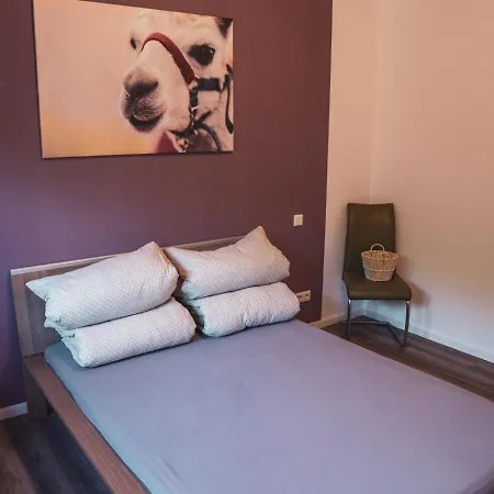 Sternenzelt Alpakas - & Tiere Hautnah Erleben Apartmán *