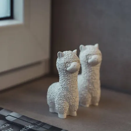 Apartmán Sternenzelt Alpakas - & Tiere Hautnah Erleben Borken (North Rhine-Westphalia)