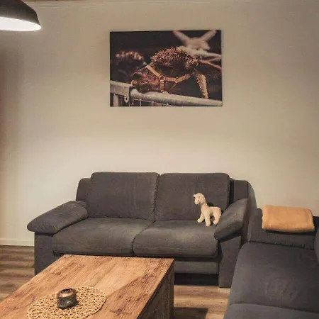 Sternenzelt Alpakas - & Tiere Hautnah Erleben * בורקן