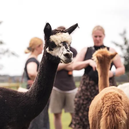 דירה Sternenzelt Alpakas - & Tiere Hautnah Erleben