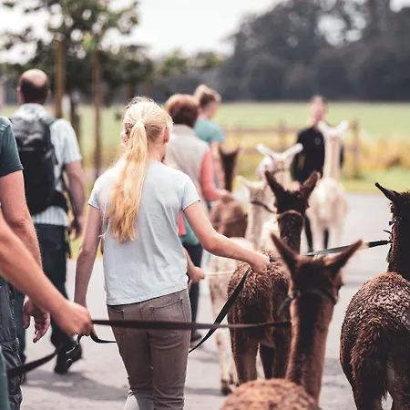 דירה Sternenzelt Alpakas - & Tiere Hautnah Erleben *