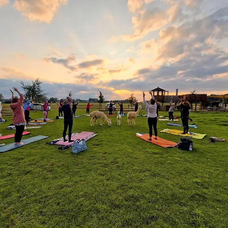 Sternenzelt Alpakas - & Tiere Hautnah Erleben דירה