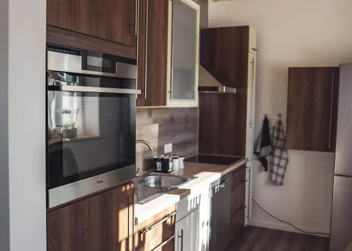 Sternenzelt Alpakas - & Tiere Hautnah Erleben Borken (North Rhine-Westphalia)