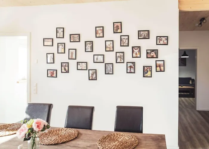 Sternenzelt Alpakas - & Tiere Hautnah Erleben Apartament Borken (North Rhine-Westphalia)