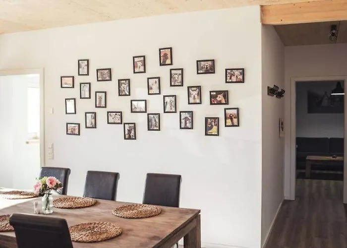 Sternenzelt Alpakas - & Tiere Hautnah Erleben Borken (North Rhine-Westphalia)