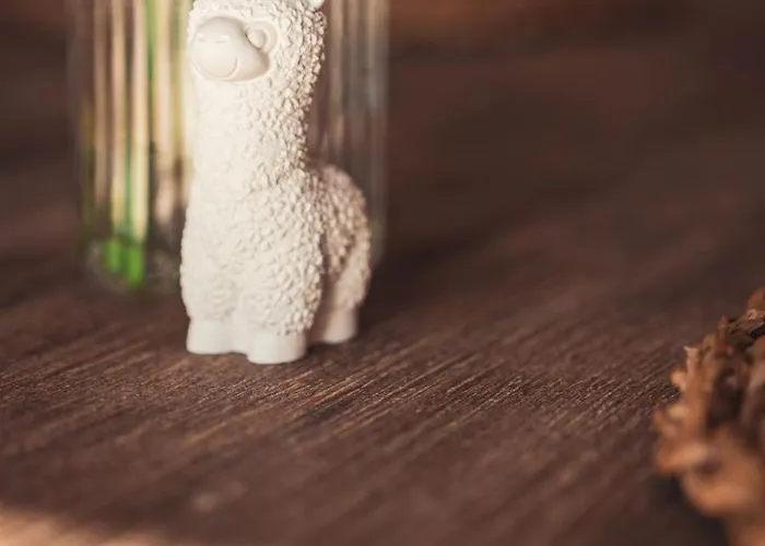 Apartament Sternenzelt Alpakas - & Tiere Hautnah Erleben Borken (North Rhine-Westphalia)