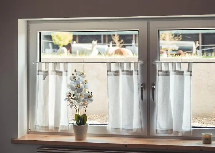 Sternenzelt Alpakas - & Tiere Hautnah Erleben * Borken (North Rhine-Westphalia)