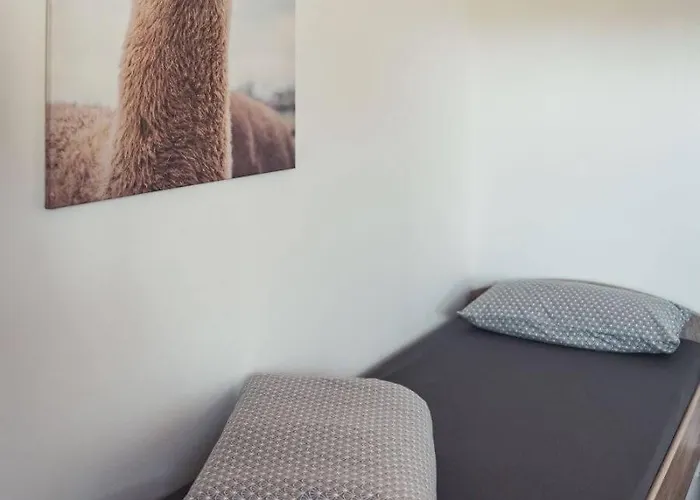 Sternenzelt Alpakas - & Tiere Hautnah Erleben