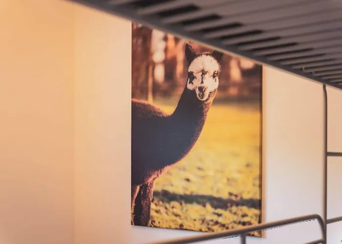 Sternenzelt Alpakas - & Tiere Hautnah Erleben Apartament *