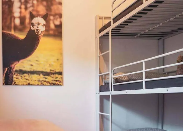 Sternenzelt Alpakas - & Tiere Hautnah Erleben * Borken (North Rhine-Westphalia)