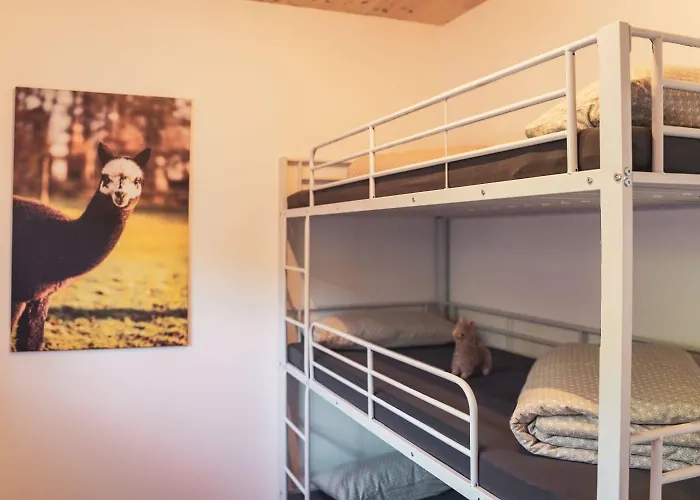 Apartament Sternenzelt Alpakas - & Tiere Hautnah Erleben Borken (North Rhine-Westphalia)