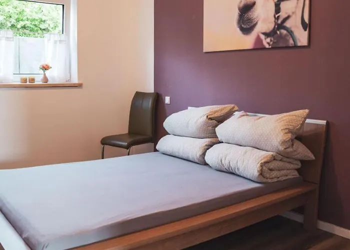 Sternenzelt Alpakas - & Tiere Hautnah Erleben *