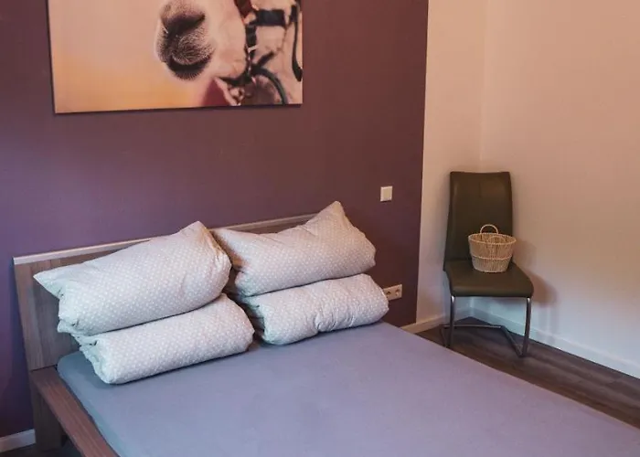Sternenzelt Alpakas - & Tiere Hautnah Erleben Apartament *