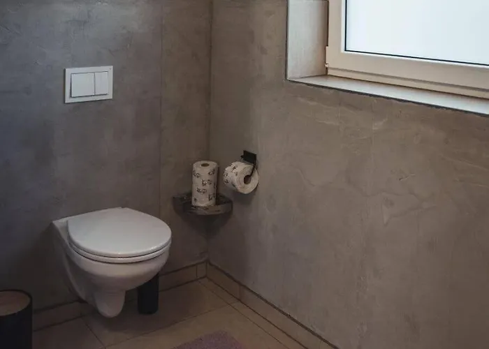 Sternenzelt Alpakas - & Tiere Hautnah Erleben Borken (North Rhine-Westphalia)