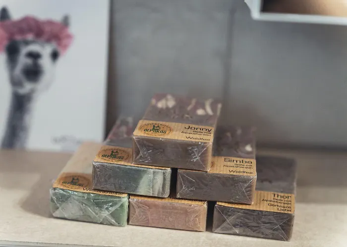 Sternenzelt Alpakas - & Tiere Hautnah Erleben Apartament Borken (North Rhine-Westphalia)