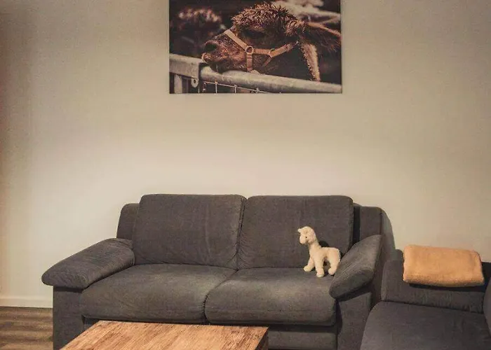 Sternenzelt Alpakas - & Tiere Hautnah Erleben * Borken (North Rhine-Westphalia)