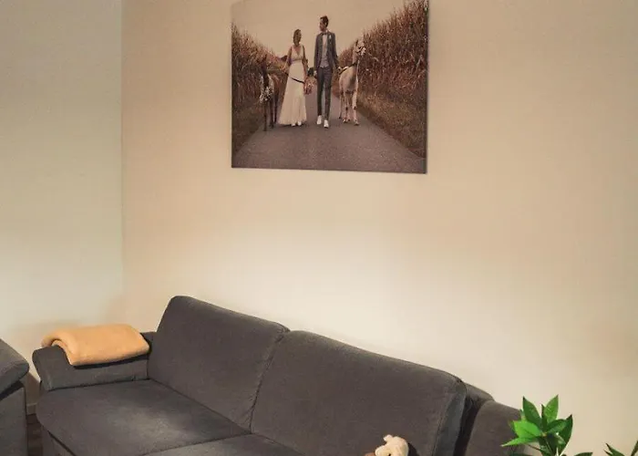 Sternenzelt Alpakas - & Tiere Hautnah Erleben Apartament Borken (North Rhine-Westphalia)