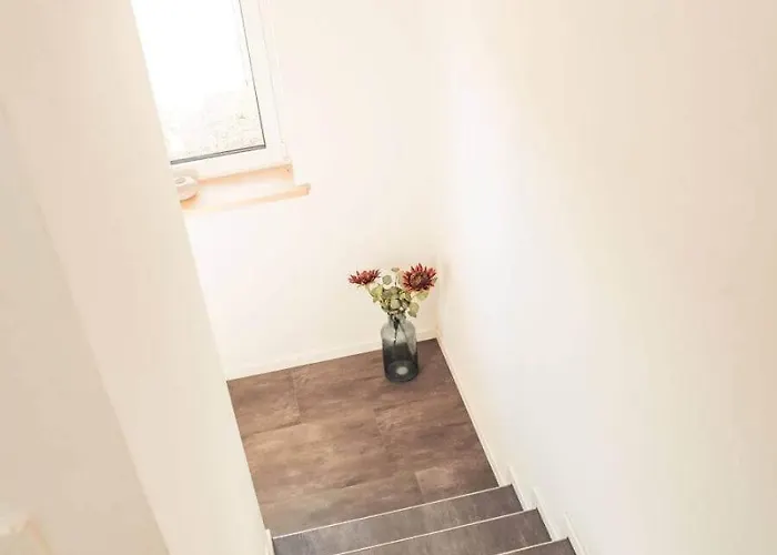 Sternenzelt Alpakas - & Tiere Hautnah Erleben Apartament Borken (North Rhine-Westphalia)