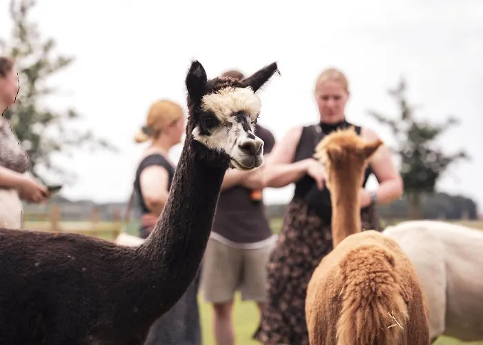 Apartament Sternenzelt Alpakas - & Tiere Hautnah Erleben