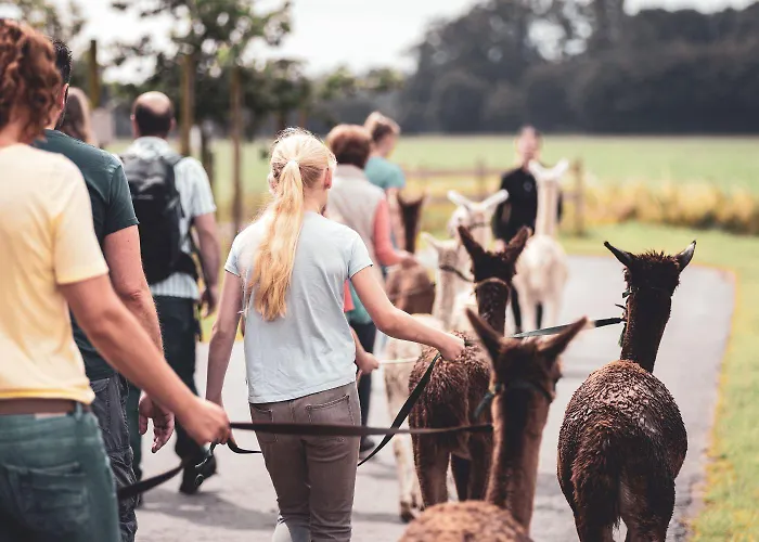 Apartament Sternenzelt Alpakas - & Tiere Hautnah Erleben *