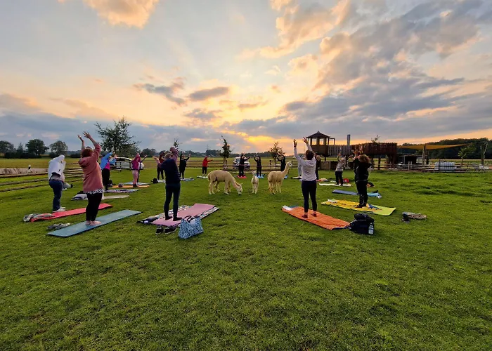 Sternenzelt Alpakas - & Tiere Hautnah Erleben Apartament